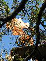 2008-10-11_Tiverton_Trustom 060